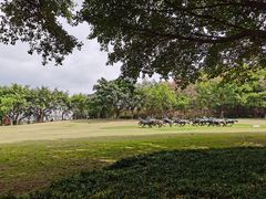 -广州雕塑公园