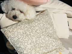 -中天钢铁体育馆(南一门店)