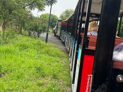 -米果果小镇