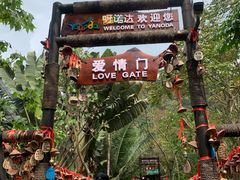 -呀诺达热带雨林