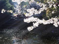 -南山植物园