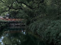 -古堰画乡景区