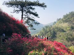 -木兰云雾山