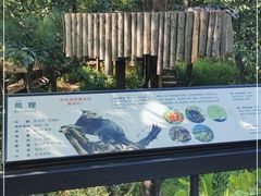 -云南野生动物园