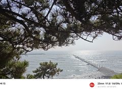 -八大关景区