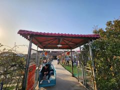 -小鱼草莓采摘园农家乐·小鱼餐厅