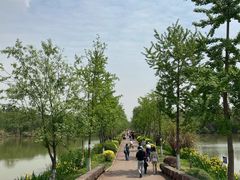 -白鹭湾湿地公园