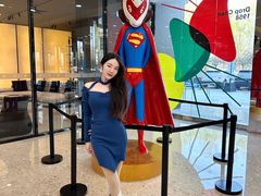 -红星美凯龙北京至尊MALL(东四环中路店)