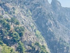 -泰山风景名胜区