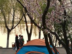 -丁香湖公园