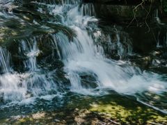 -鹿院坪生态旅游景区