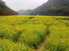 -广州市石门国家森林公园