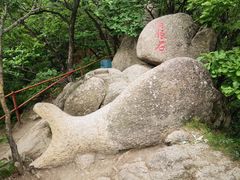 -吉林市朱雀山国家森林公园