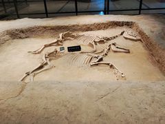 -洛阳周王城天子驾六博物馆