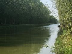 -黄海国家森林公园