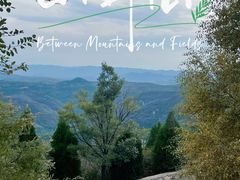 -狮脑山森林公园