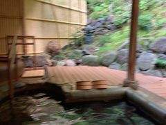 -有马温泉 竹取亭円山温泉旅馆
