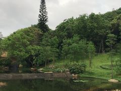 -云溪植物园