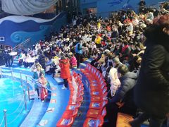 -烟台海昌鲸鲨海洋公园