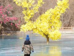 -少华山国家森林公园