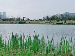 -桂溪生态公园