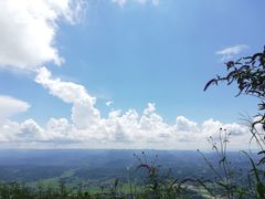 -齐岳山