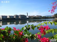 -三亚亚龙湾凯莱仙人掌度假酒店