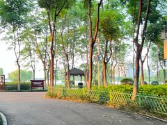 -金银湖国家城市湿地公园