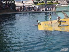 -秦皇岛乐岛海洋王国