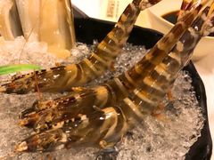 -鲜入围煮花胶鸡海鲜火锅