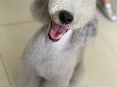 -沐沐家宠物(成寿寺店)