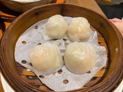 虾饺-十六蒲(桂林路店)