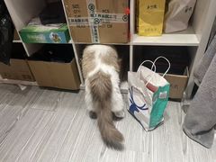 -剧狐剧本杀(徐汇1号店)