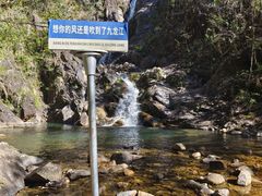 -九龙江国家森林公园