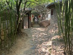 -老张烤羊(王哥庄店)