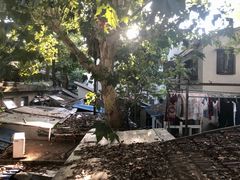 -胡记锅贴·沪上游子老鸭粉丝汤(太原路店)