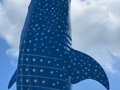 -珠海长隆海洋王国