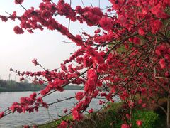 -西安汉城湖景区