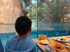 -帝企鹅自助餐厅•儿童岛•真企鹅(长隆企鹅酒店)