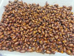 -映像威海·海鲜味道(经区店)