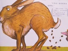 -乐不撕书绘本体验中心(华鹏馆)