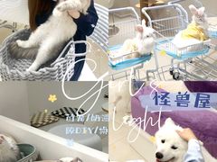 -怪兽屋·羊驼·猫咖·狗咖(俊华广场店)