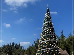 -海南清水湾莱佛士酒店