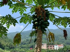 -长泰漂流水陆空景区