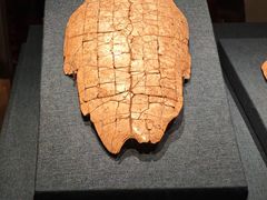 -盘龙城国家考古遗址公园