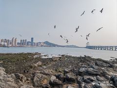 -黑石礁公园