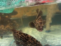 -阿伟海鲜楼·福建菜(延寿店)