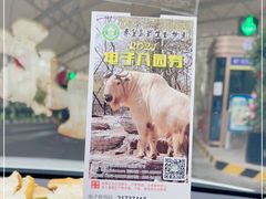 -秦皇岛野生动物园