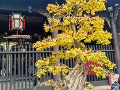 -成都武侯祠博物馆