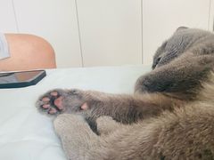 -赛百味SUBWAY(曲江智慧大厦店)